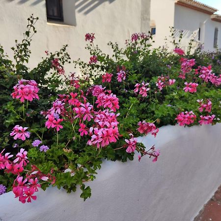 Dona Lola , Luminoso Apartamento Calahonda, Mijas Sitio de Calahonda Exterior foto