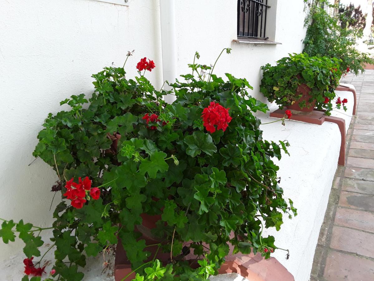 Dona Lola , Luminoso Apartamento Calahonda, Mijas Sitio de Calahonda Exterior foto