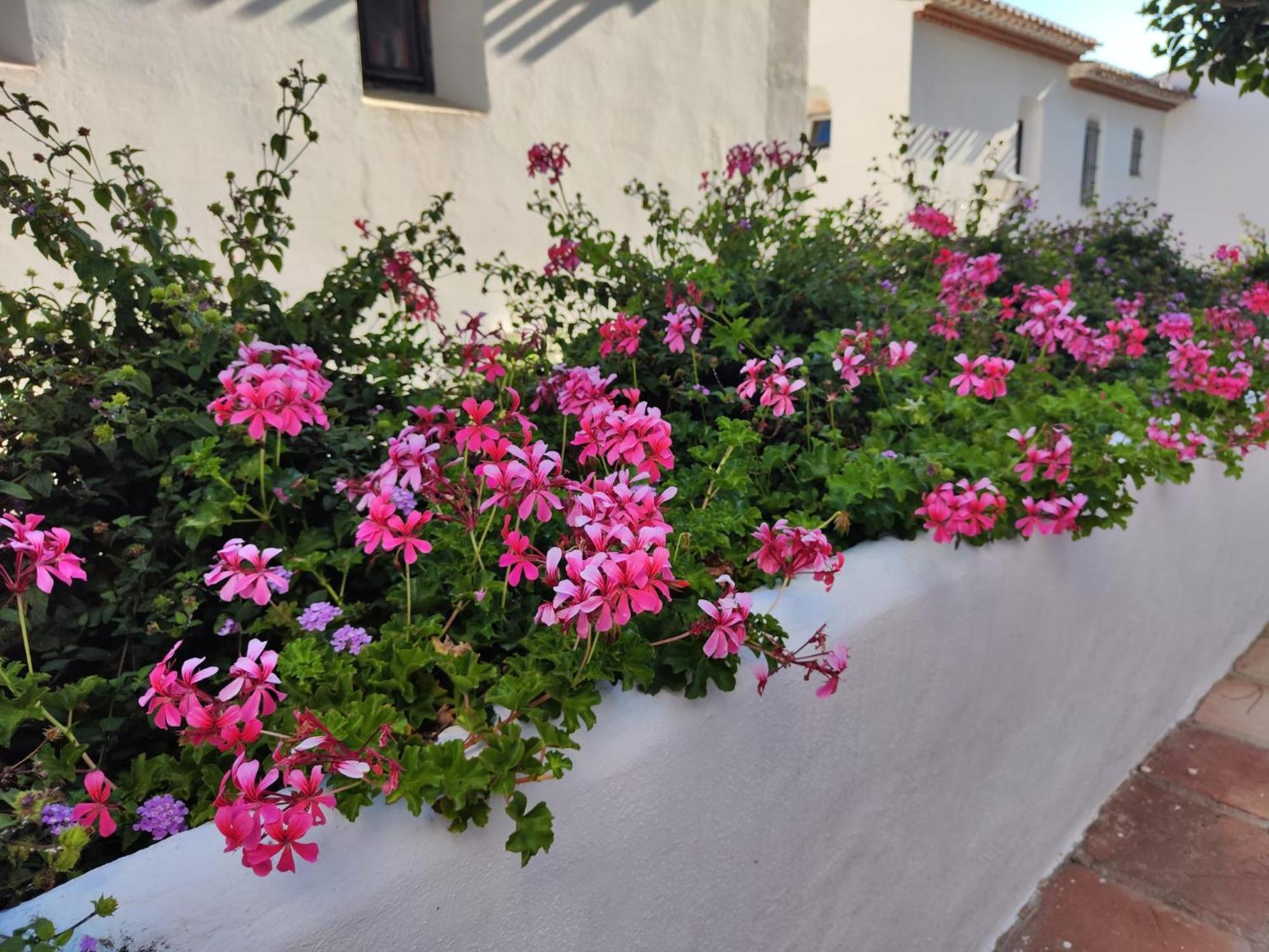 Dona Lola , Luminoso Apartamento Calahonda, Mijas Sitio de Calahonda Exterior foto